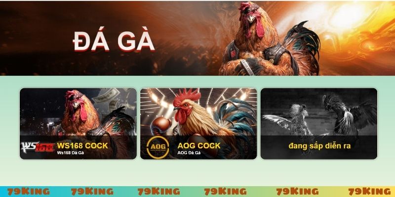 Các lưu ý giúp đăng ký 79King thành công