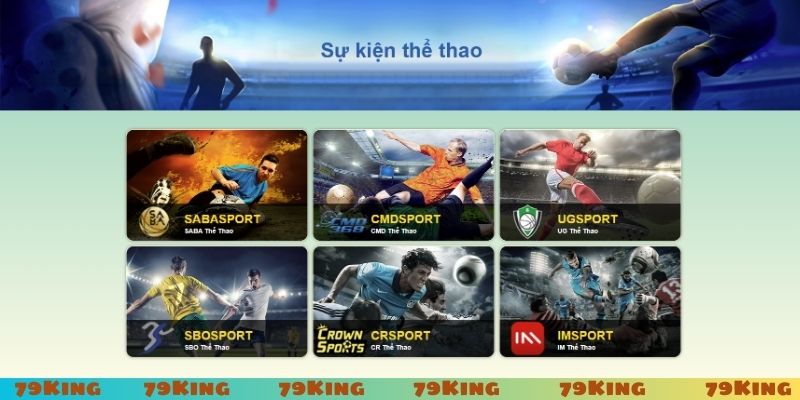 Các sảnh thể thao 79King không thể bỏ qua