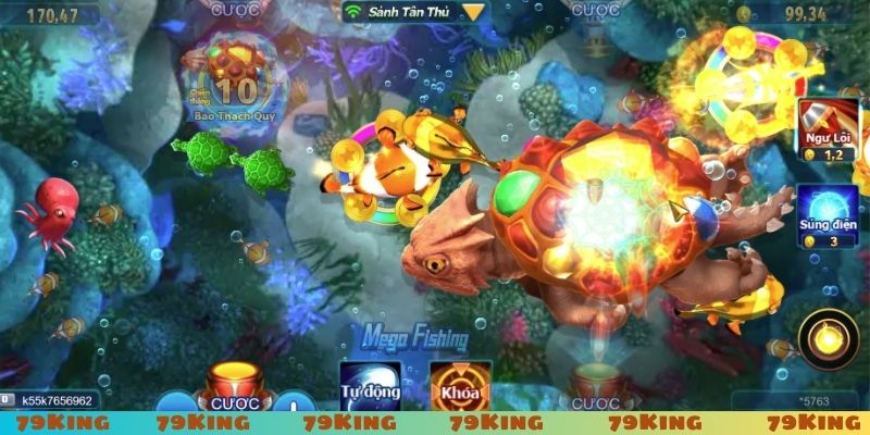 Mẹo săn cá đỉnh của chóp cho người mới